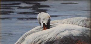 Peace,Rest, Swan,Waterfowl, oil painting