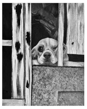 Perrito